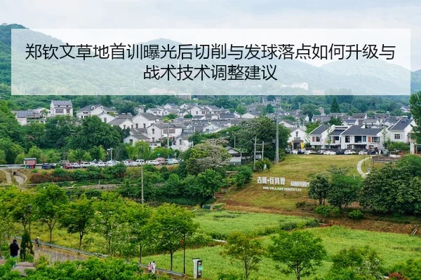郑钦文草地首训曝光后切削与发球落点如何升级与战术技术调整建议