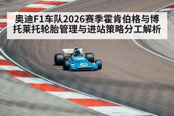 奥迪F1车队2026赛季霍肯伯格与博托莱托轮胎管理与进站策略分工解析